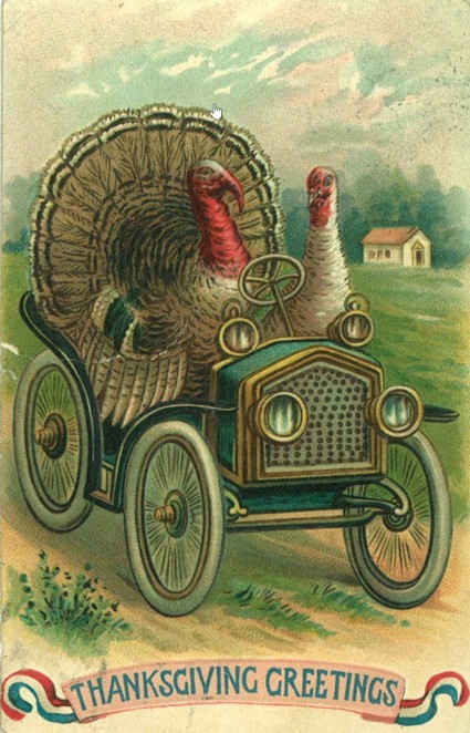 two turkeys driving car