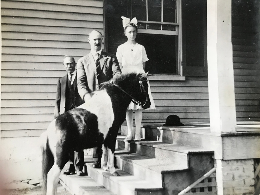 family with pet pony
