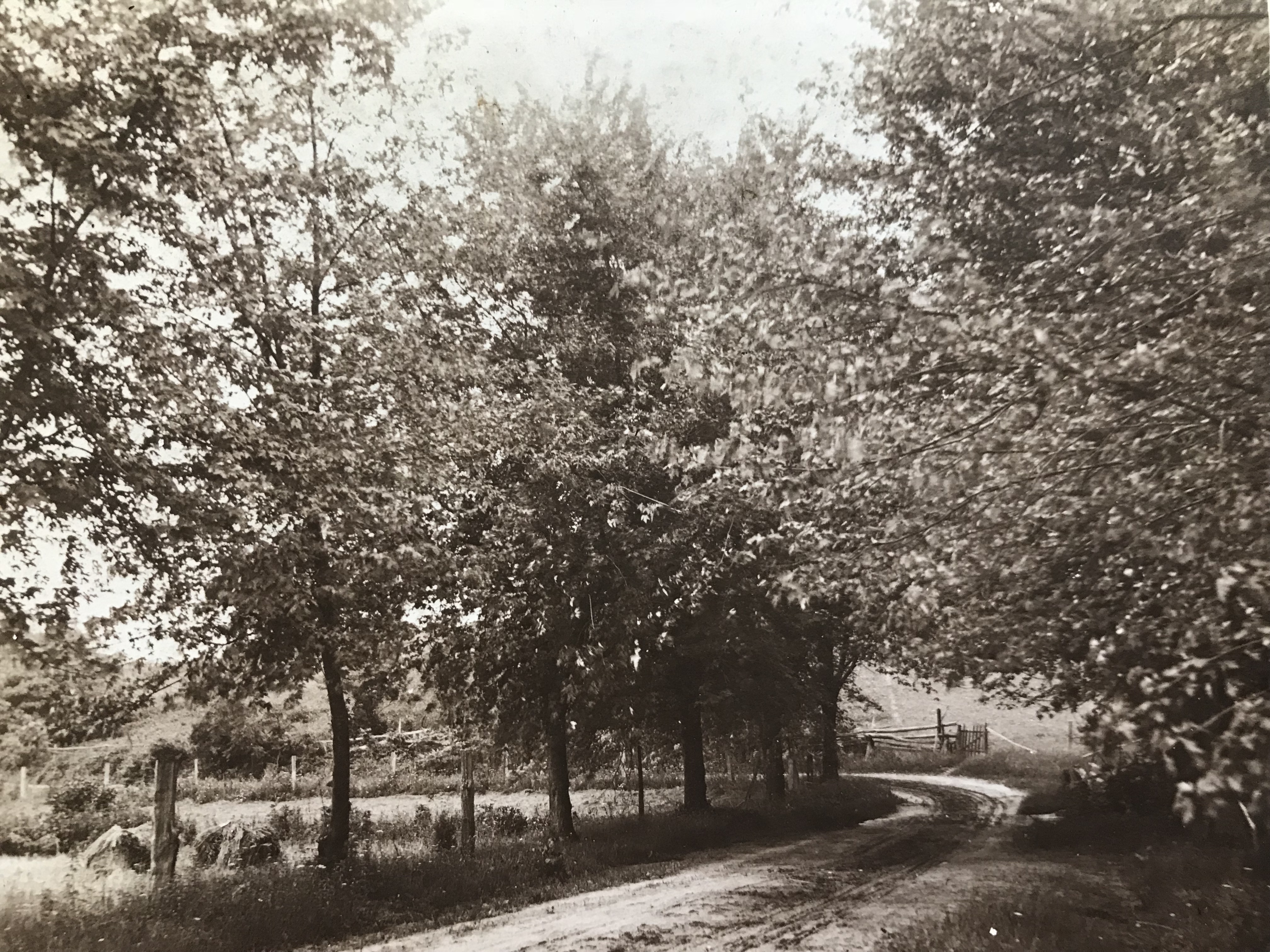 Rural Montgomery County road